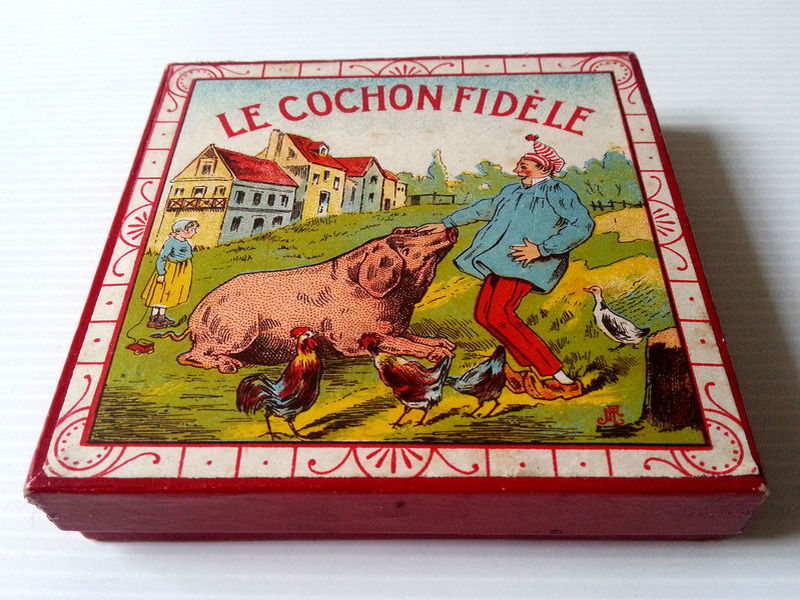 cochon fidèle