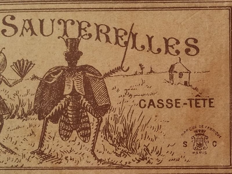 sauterelles