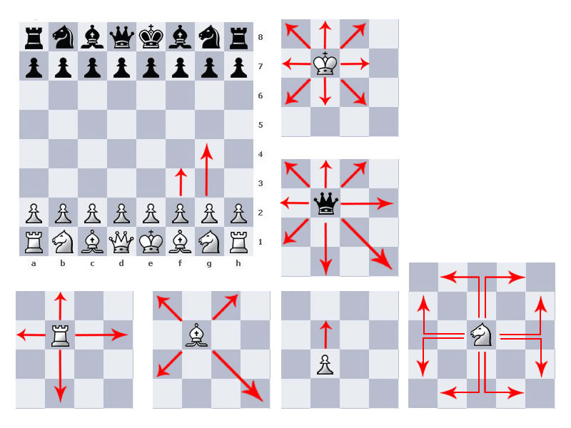 echecs